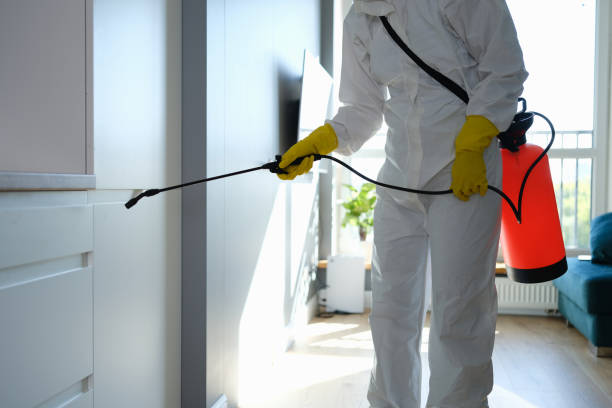 Jersey City, NJ Mold Removal Company