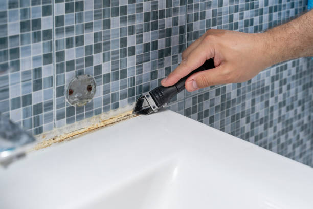 Best Mold Removal Company Near Me  in Jersey City, NJ