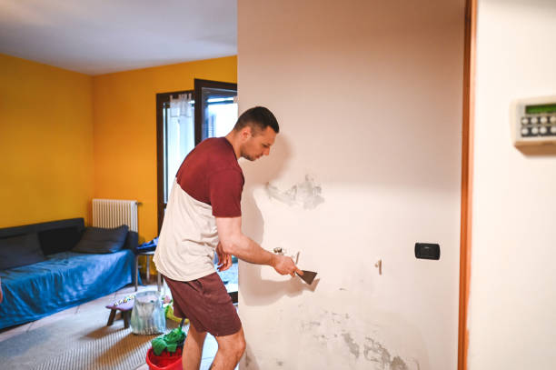 Best Mold Testing  in Jersey City, NJ