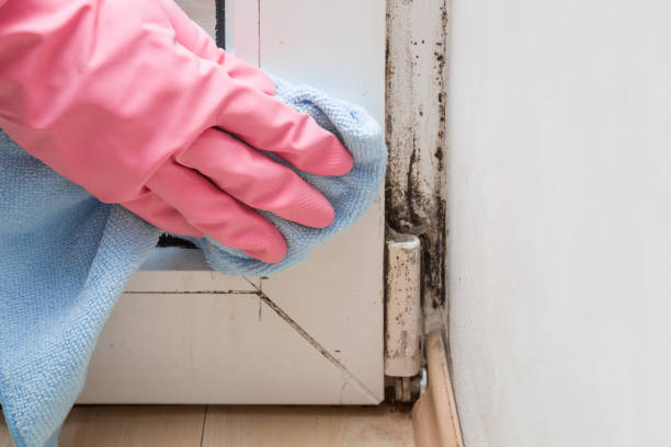 Best Water Damage Restoration  in Jersey City, NJ